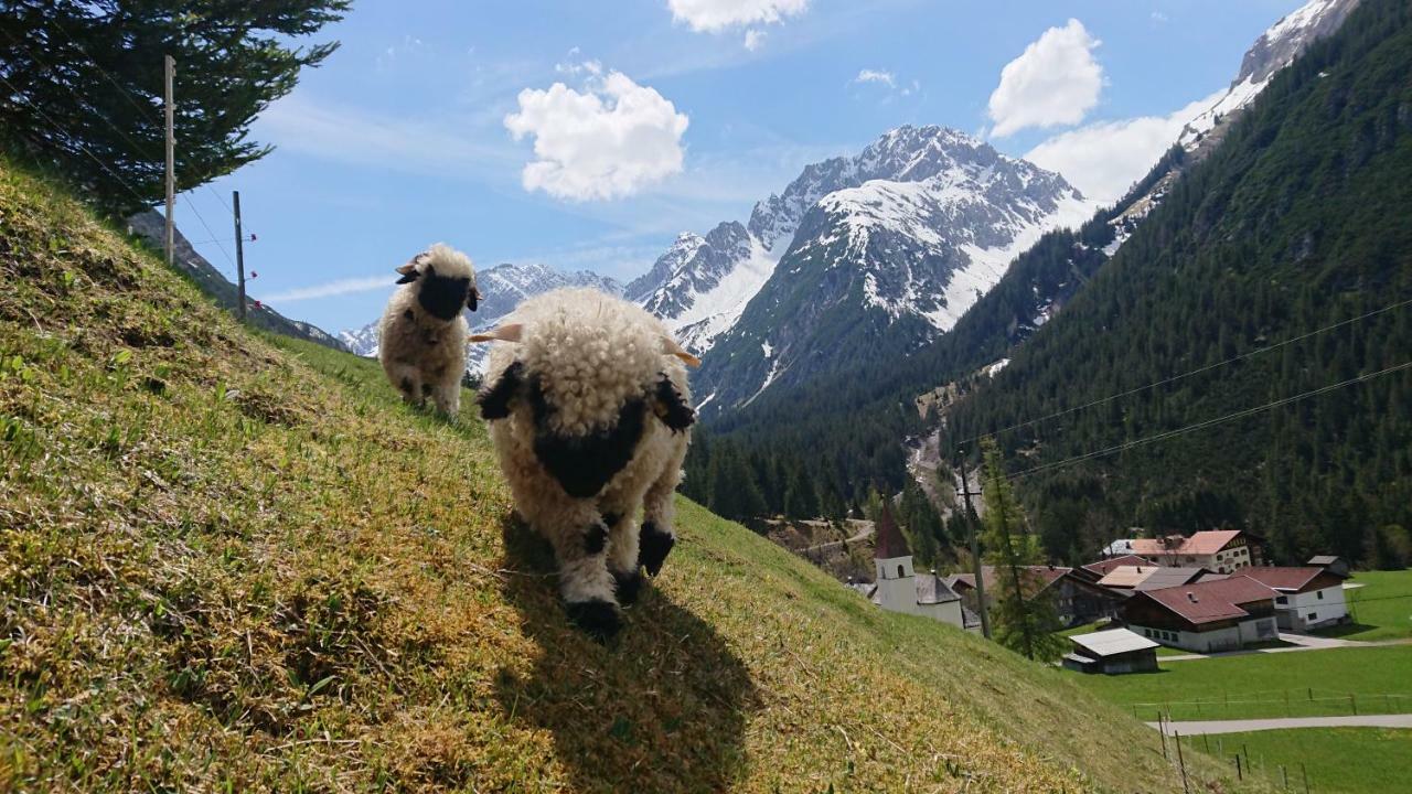 Séjour à la ferme Bergbauernhof Pabulariu *